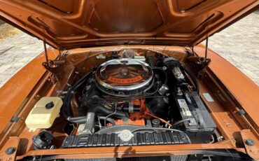 Dodge-Charger-1969-T5-Bronze-Saddle-6