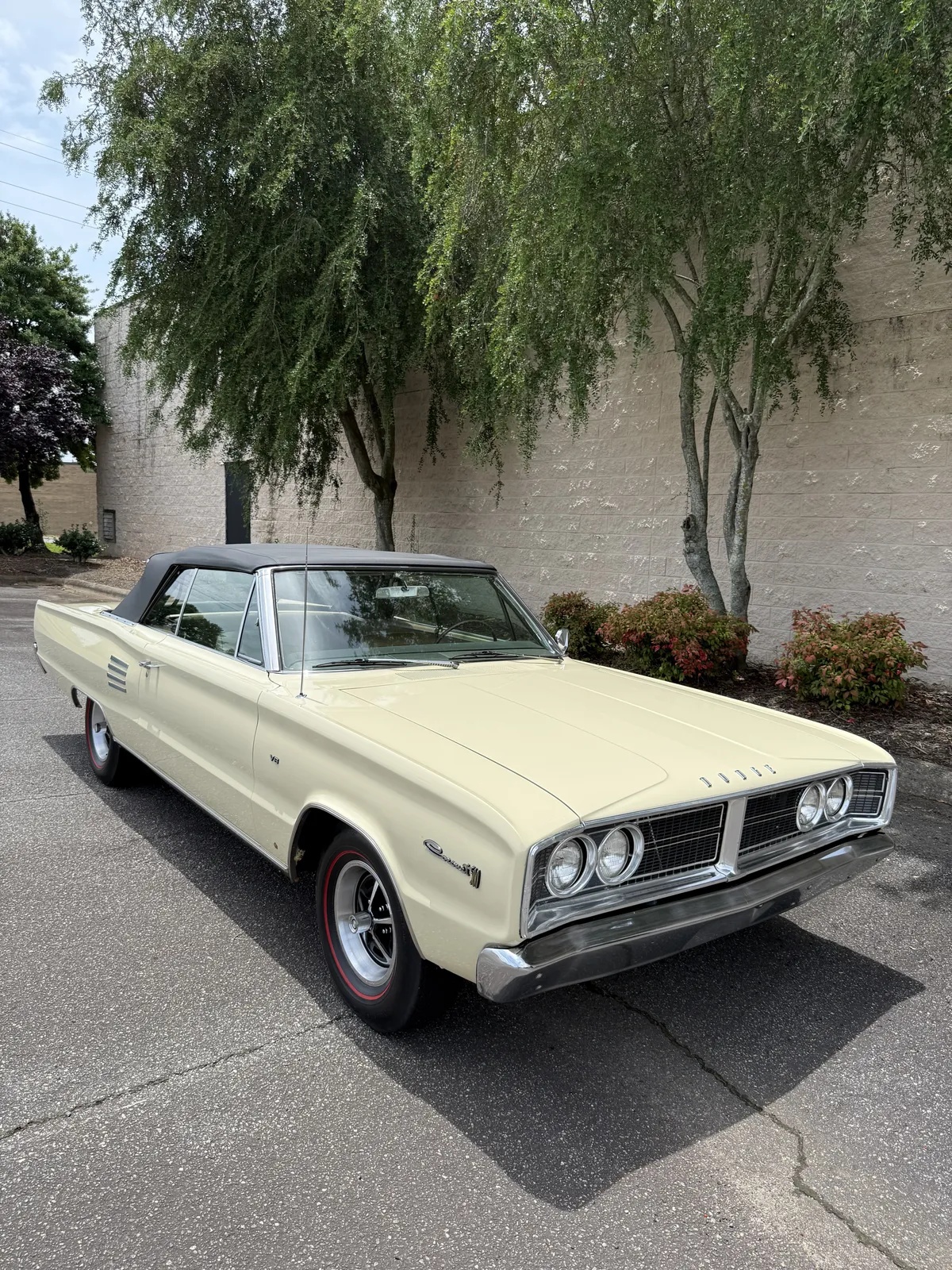 Dodge-Coronet-1966-3
