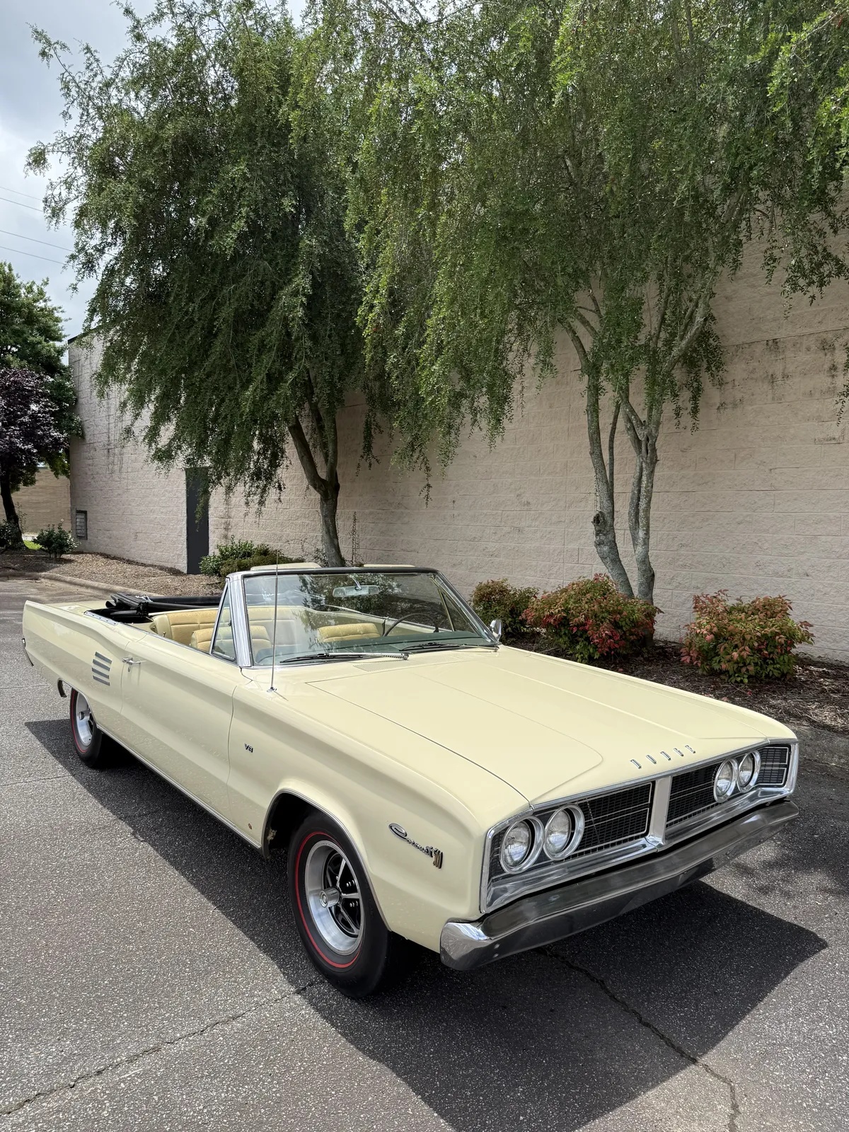 Dodge-Coronet-1966-8