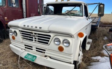 Dodge-D500-1968-2