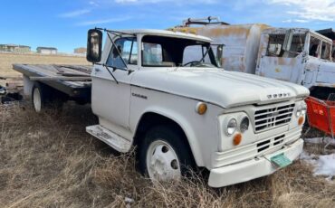 Dodge-D500-1968-4