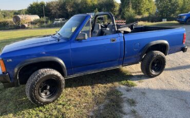 Dodge-Dakota-1990-4