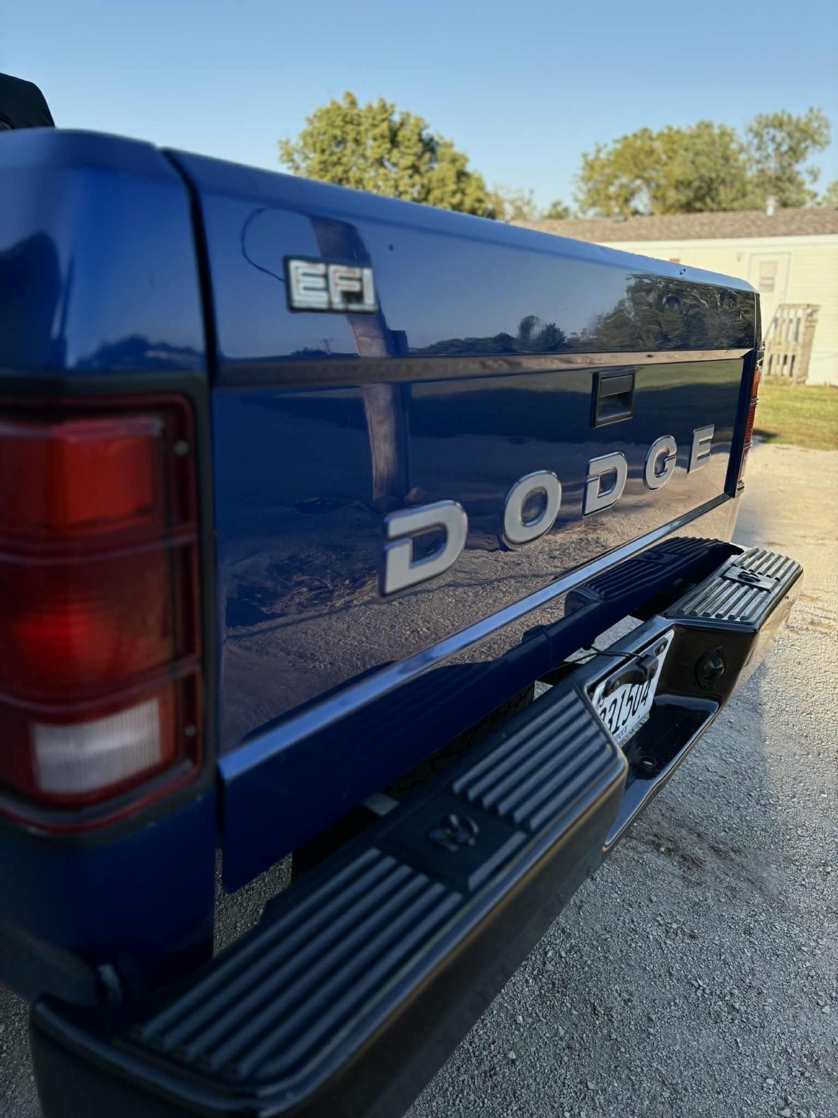Dodge-Dakota-1990-5
