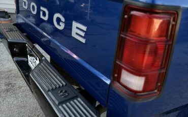 Dodge-Dakota-1990-6
