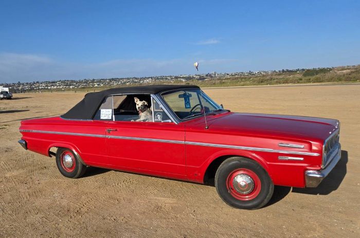 Dodge-Dart-1956-Red-6