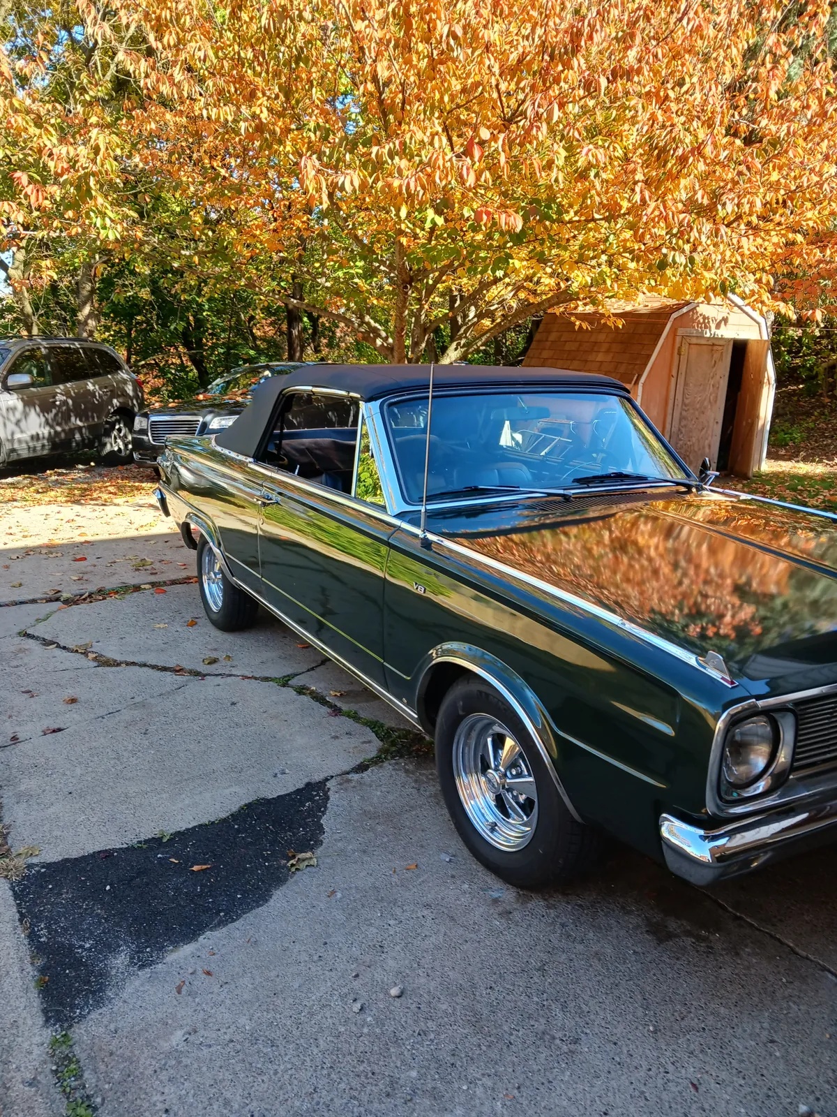 Dodge-Dart-1966-Gg1-Racing-Green-8