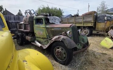 Dodge-Dodge-brothers-1938-Brown-Brown-3