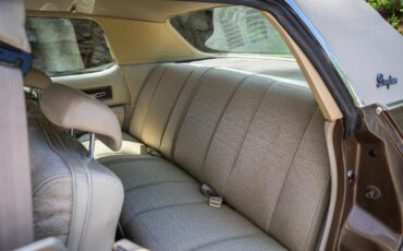 Dodge-Monaco-1975-Brown-Beige-22