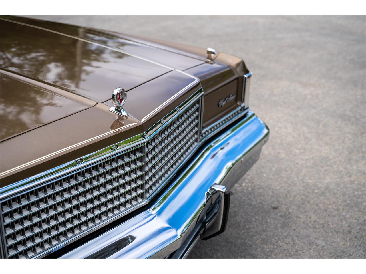 Dodge-Monaco-1975-Brown-Beige-5