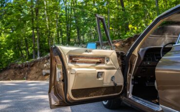 Dodge-Monaco-1975-Brown-Beige-8