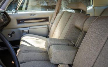 Dodge-Monaco-1975-Brown-Beige-9