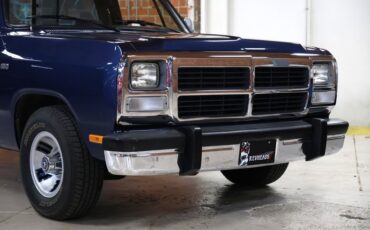 Dodge-Other-1992-Dark-Spectrum-Blue-M-Gray-11