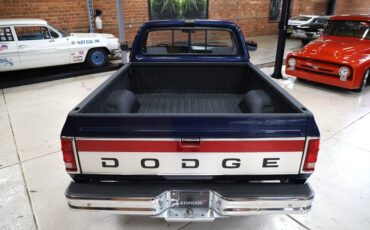 Dodge-Other-1992-Dark-Spectrum-Blue-M-Gray-15