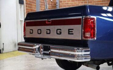 Dodge-Other-1992-Dark-Spectrum-Blue-M-Gray-37