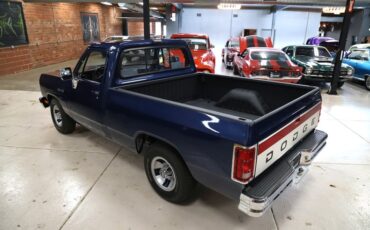 Dodge-Other-1992-Dark-Spectrum-Blue-M-Gray-38