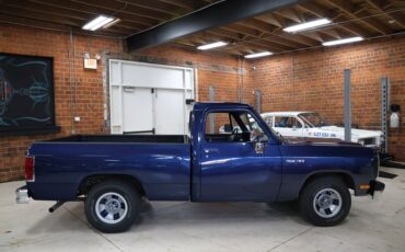 Dodge-Other-1992-Dark-Spectrum-Blue-M-Gray-4