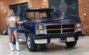 Dodge-Other-1992-Dark-Spectrum-Blue-M-Gray-44