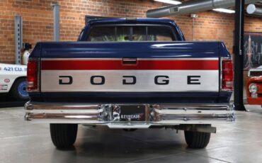 Dodge-Other-1992-Dark-Spectrum-Blue-M-Gray-5