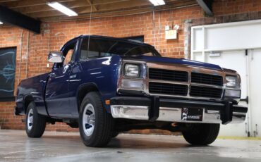 Dodge-Other-1992-Dark-Spectrum-Blue-M-Gray-8
