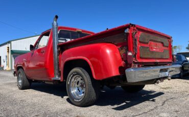 Dodge-Other-Pickups-1979-Pickup-Truck-10