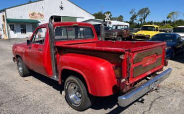 Dodge-Other-Pickups-1979-Pickup-Truck-11