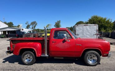 Dodge-Other-Pickups-1979-Pickup-Truck-6