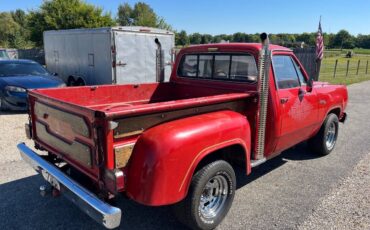 Dodge-Other-Pickups-1979-Pickup-Truck-7