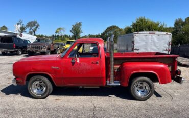 Dodge-Other-Pickups-1979-Pickup-Truck-9