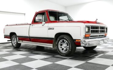 Dodge-Other-Pickups-1989-Pickup-Truck