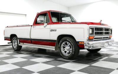 Dodge Other Pickups 1989