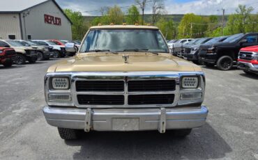 Dodge-Other-Pickups-1991-Standard-Cab-Pickup-1