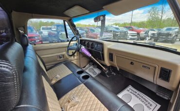 Dodge-Other-Pickups-1991-Standard-Cab-Pickup-12