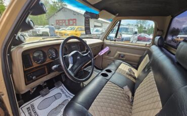 Dodge-Other-Pickups-1991-Standard-Cab-Pickup-13