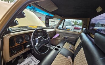 Dodge-Other-Pickups-1991-Standard-Cab-Pickup-16