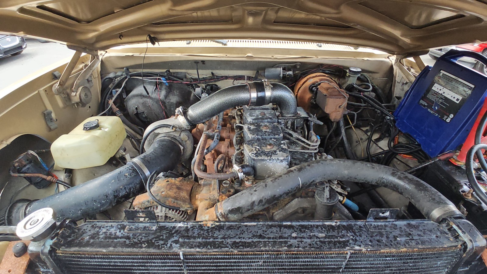 Dodge-Other-Pickups-1991-Standard-Cab-Pickup-17
