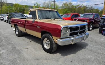 Dodge-Other-Pickups-1991-Standard-Cab-Pickup-2