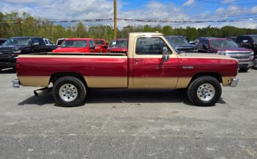 Dodge-Other-Pickups-1991-Standard-Cab-Pickup-3