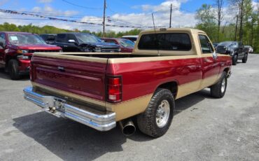 Dodge-Other-Pickups-1991-Standard-Cab-Pickup-4