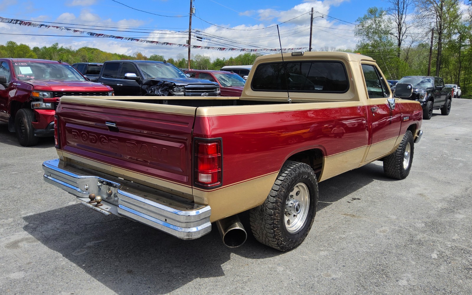 Dodge-Other-Pickups-1991-Standard-Cab-Pickup-4