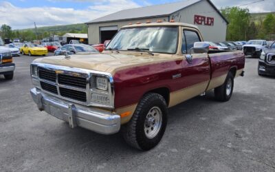 Dodge Other Pickups 1991 Standard Cab Pickup