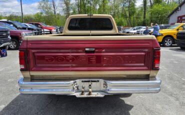 Dodge-Other-Pickups-1991-Standard-Cab-Pickup-5