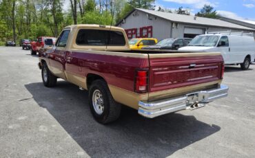 Dodge-Other-Pickups-1991-Standard-Cab-Pickup-6