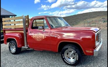 Dodge-Pickup-1978-Red-Red