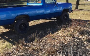 Dodge-Power-Wagon-1979-Standard-Cab-Pickup-2