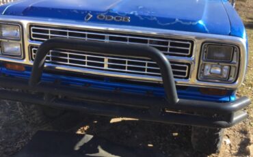 Dodge-Power-Wagon-1979-Standard-Cab-Pickup-5
