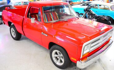 Dodge-Ram-1500-1988-Other-1