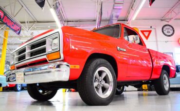 Dodge-Ram-1500-1988-Other-11
