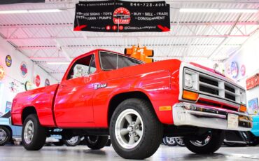 Dodge-Ram-1500-1988-Other-2