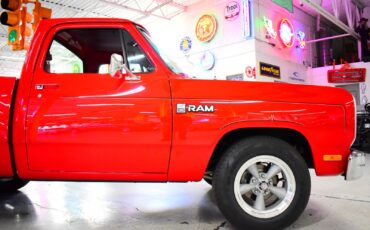 Dodge-Ram-1500-1988-Other-7