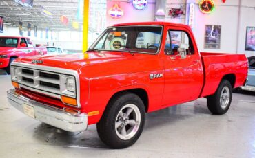 Dodge-Ram-1500-1988-Other-9
